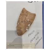 Paleo Arrowhead