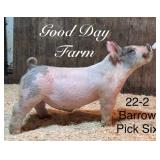 Good Day  Farm:  Light XB 22-2