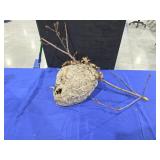 Hornets Nest