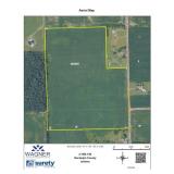 Tract #4:  45 +/- Acres w/44.13 +/- Tillable Acres