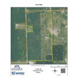 Tract #2:77 +/- Acres w/73.48 +/- Tillable Acres