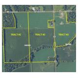 185.44 +/- Acres Offered In 3 Tracts