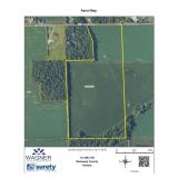 Delaware Co. Land Auction- 185.44 +/- Acres