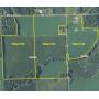 Delaware Co. Land Auction- 185.44 +/- Acres