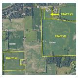 Eastern Delaware Co. Land Auction - 150.5 +/- Ac
