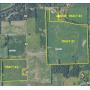 Eastern Delaware County Land Auction - 150.5 +/- Acres