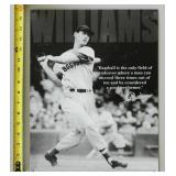 Ted Williams Retro Decorative 16x12 Metal Tin Sign