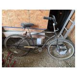 Catalina Bicycle