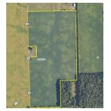 53 +/- Acres w/51.81 +/- Tillable Acres