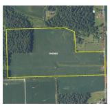 Southwestern Randolph Co Land Auction