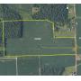 Southwestern Randolph Co Land Auction