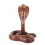 Teak Wood Cobra