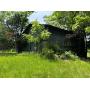 75+/- Acres & 478,000+/- Board Feet of Timber Auction