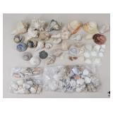 Natural Shells
