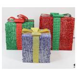 Lighted Holiday Decor / 3 pc
