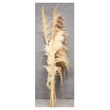 Tall Pampas Grass Stalks
