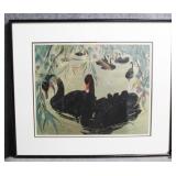 Black Swans W/ Hibiscus Print by J.A. Botke