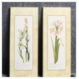 Floral Mounted Prints by Carol Robinson 2/PC