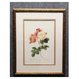 Vintage Botanical Print Vintage Botanical Print