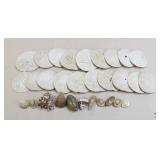 Natural Seashell/Sand Dollar Assortment Natural Seashell/Sand Dollar Assortment