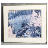 Fall Leaves Photography Print Fall Leaves Photography Print