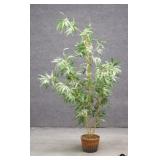 Artificial Bamboo In Planter Artificial Bamboo In Planter