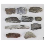 Petrified Wood Specimens