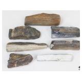 Petrified Wood Specimens