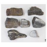 Petrified Wood Specimens