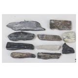 Petrified Wood Specimens