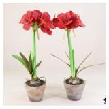 2 Artificial Red Amaryllis Florals