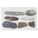 Petrified Wood Specimens