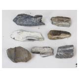 Petrified Wood Specimens