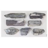 Petrified Wood Specimens
