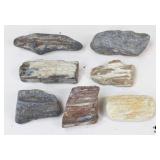 Petrified Wood Specimens