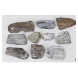 Petrified Wood Specimens
