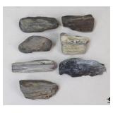 Petrified Wood Specimens