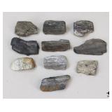 Petrified Wood Specimens