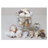 Natural Shells W/Glass Containers