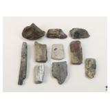 Petrified Wood Specimens