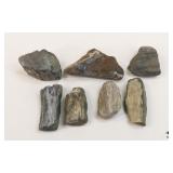 Petrified Wood Specimens