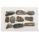 Petrified Wood Specimens