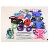 Dog Harnesses, Collars & Leashes