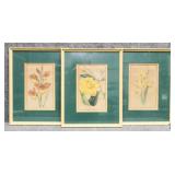 Hand-Colored Botanical Lithographs 3/PC