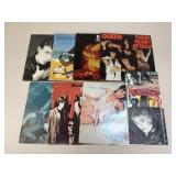 Vinyl Record Assortment  / 10 pc