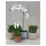 Artificial Arrangements / 4 pc