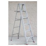 Werner SAF-T-MASTER Step Ladder