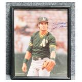 Autographed MLB Photo "Jose Canseco"