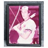 Autographed MLB Photo "Cal Ripken Jr."