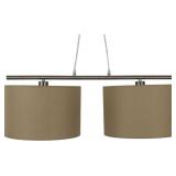 2 Light Pendant Light NIB